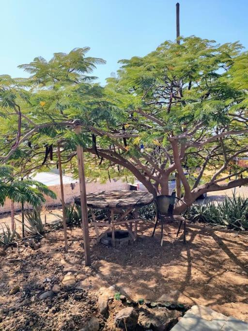 Casa Aloe Vera - Private House W/ Free Breakfast Cidade Velha Extérieur photo